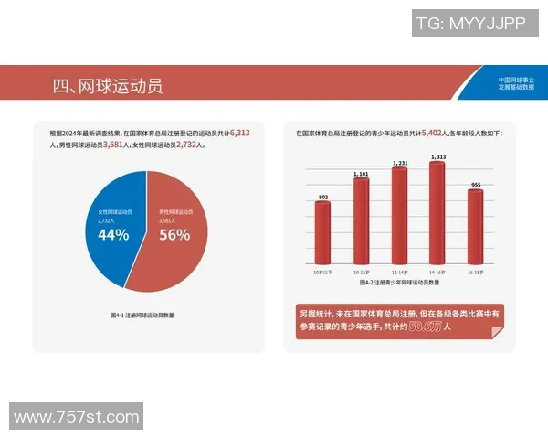 北京网球队的运营揭秘：深度分析与发展策略探讨